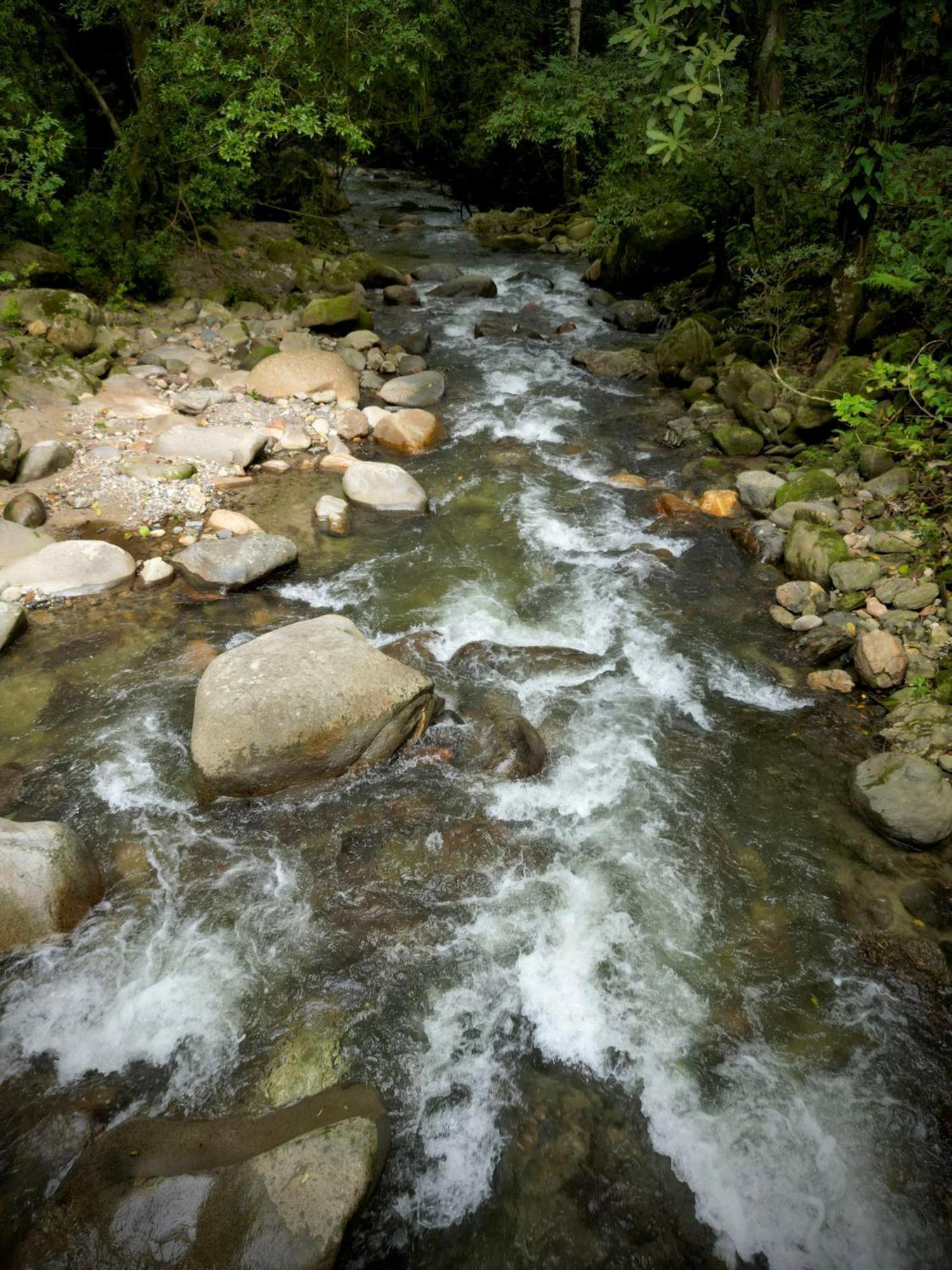 Las Cabanas Del Rio Minca Zewnętrze zdjęcie