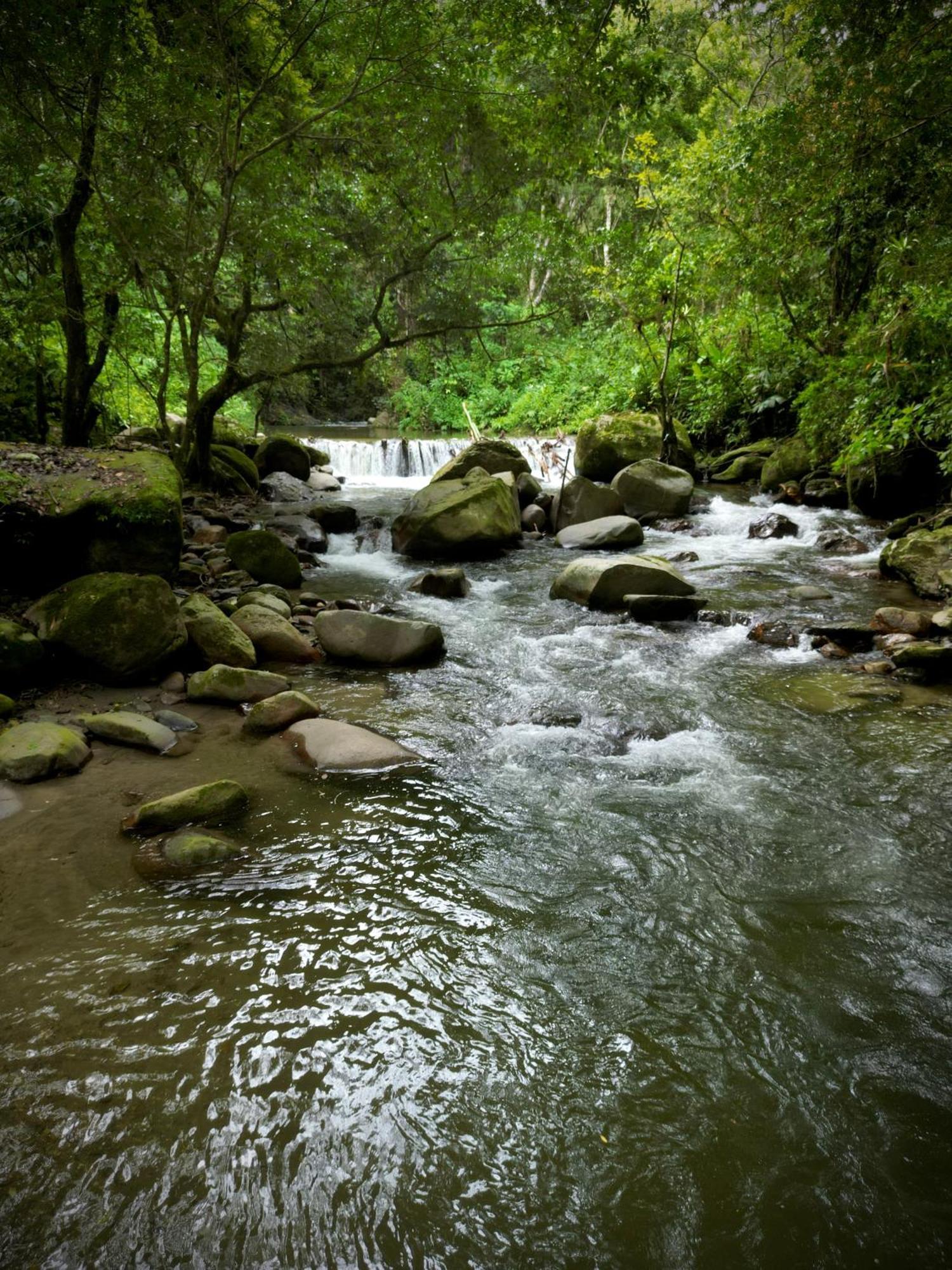 Las Cabanas Del Rio Minca Zewnętrze zdjęcie